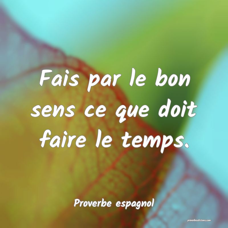 Fais par le bon sens ce que doit faire le temps.