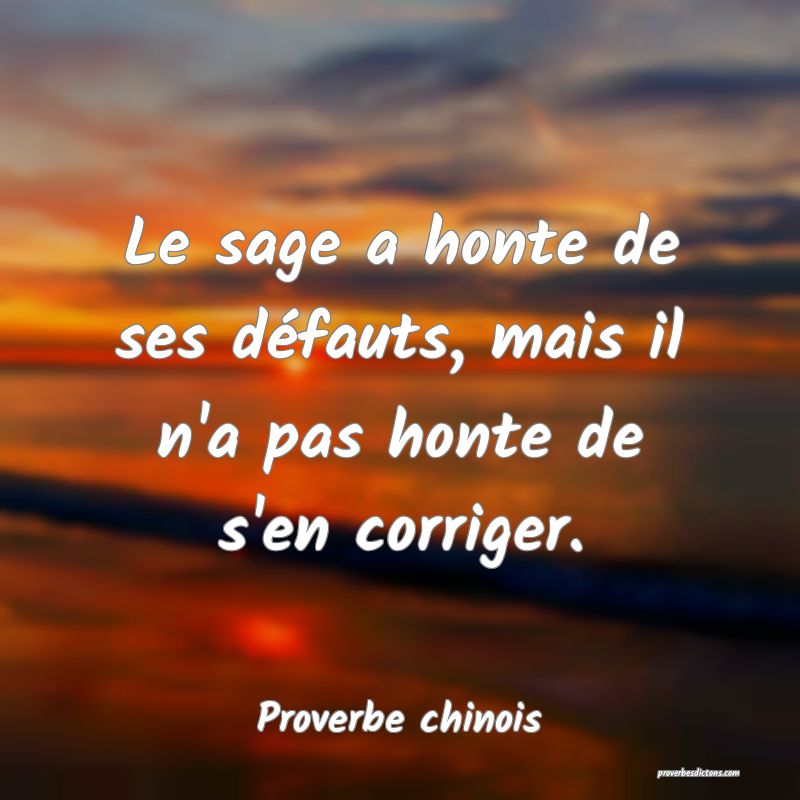 Le sage a honte de ses défauts, mais il n'a pas honte de s'en corriger.
