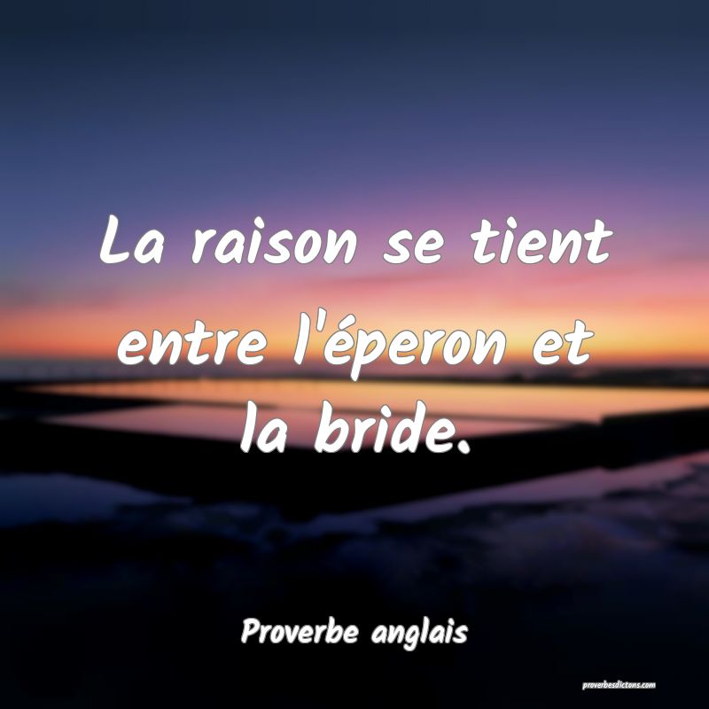  La raison se tient entre l'éperon et la bride.