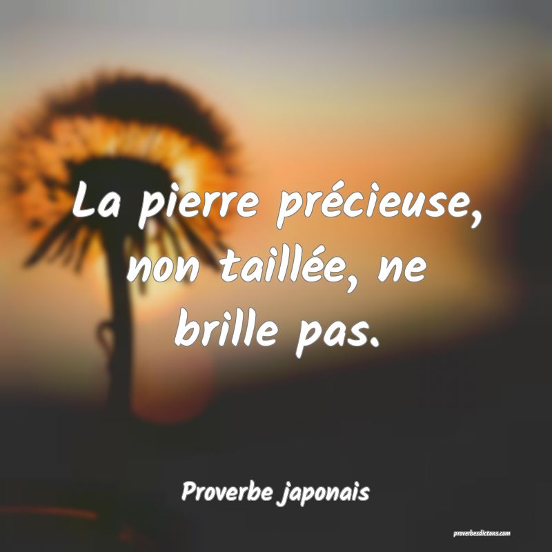 La pierre précieuse, non taillée, ne brille pas.