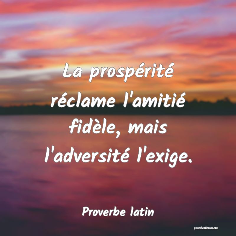La prospérité réclame l'amitié fidèle, mais l'adversité l'exige.