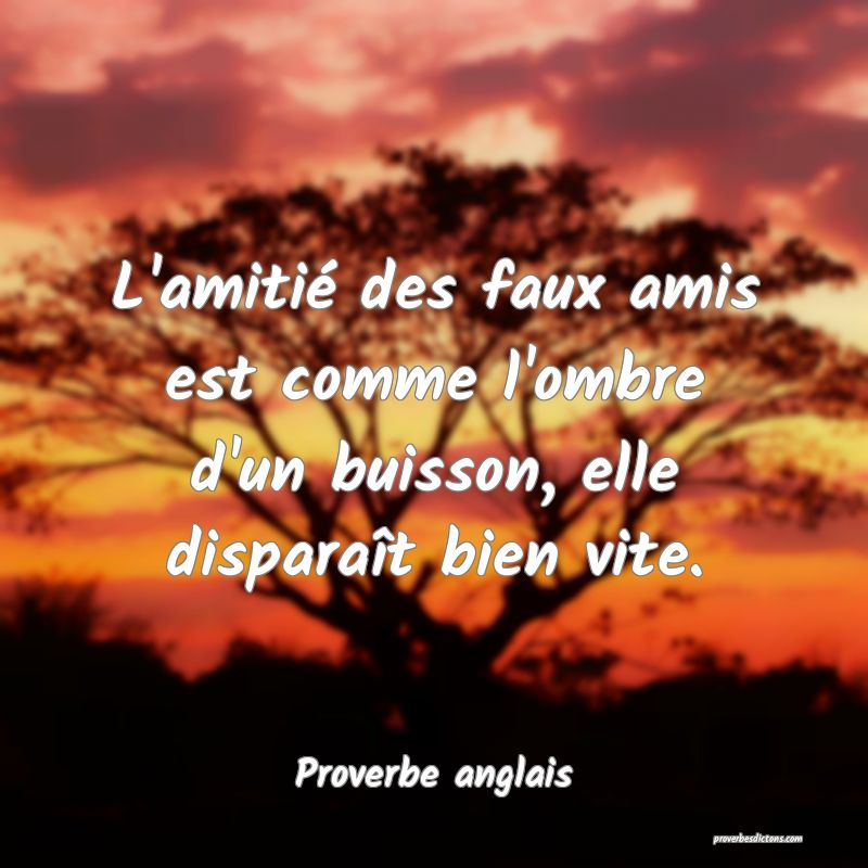 L'amitié des faux amis est comme l'ombre d'un buisson, elle disparaît bien vite.