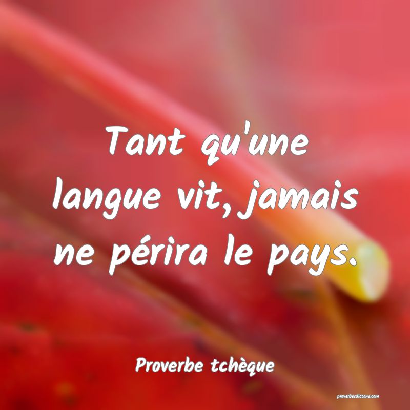 Tant qu'une langue vit, jamais ne périra le pays.