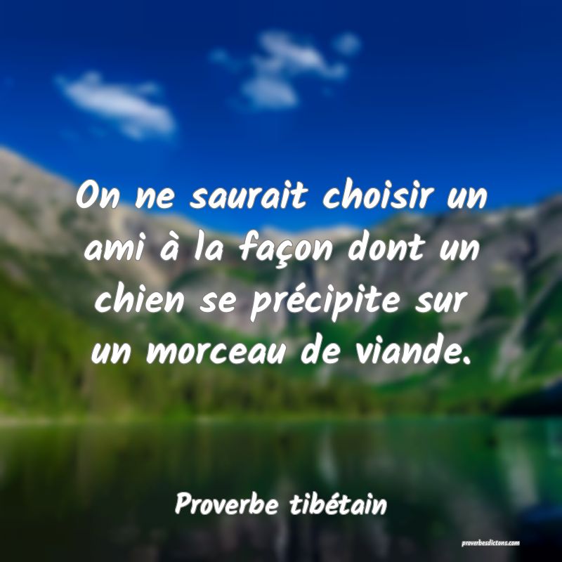 On ne saurait choisir un ami à la façon dont un chien se précipite sur un morceau de viande.