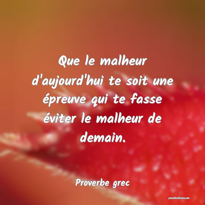 Que le malheur d'aujourd'hui te soit une épreuve qui te fasse éviter le malheur de demain.