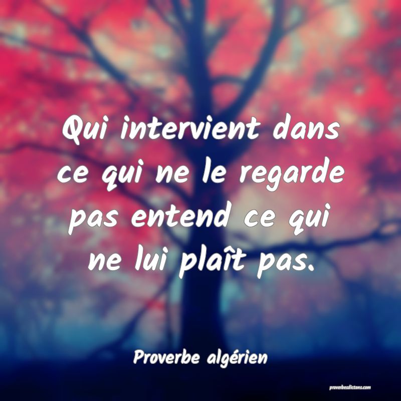 Qui intervient dans ce qui ne le regarde pas entend ce qui ne lui plaît pas.