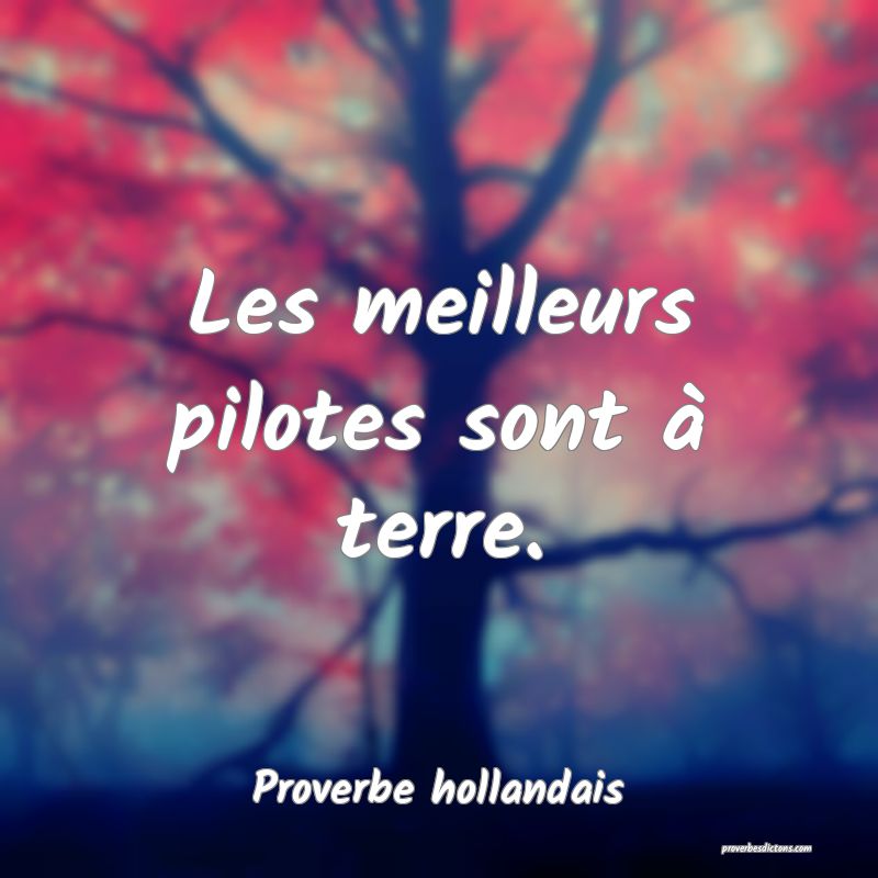 Les meilleurs pilotes sont à terre.