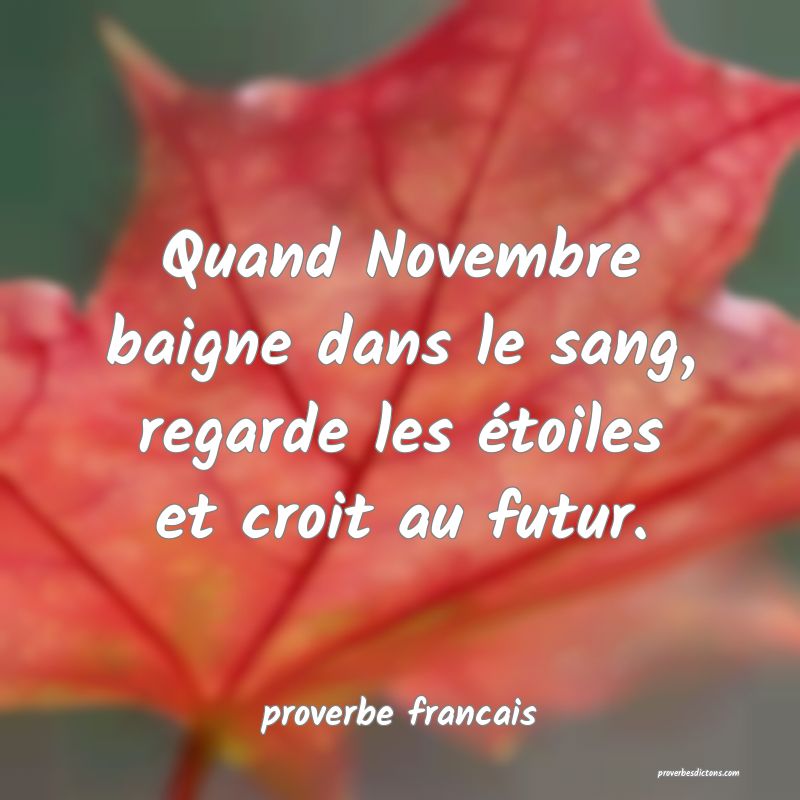  Quand Novembre baigne dans le sang, regarde les étoiles et croit au futur.