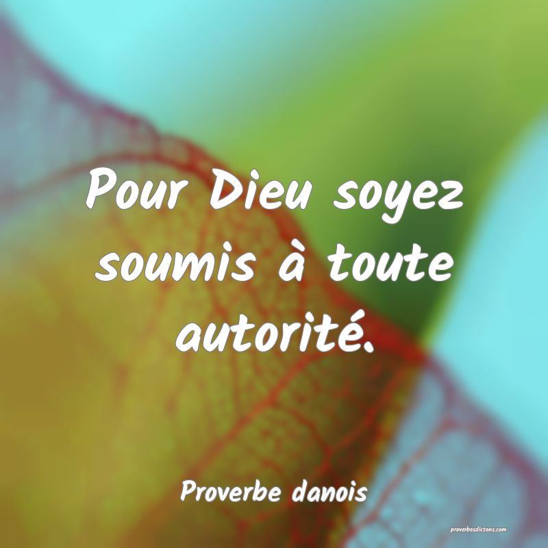 Pour Dieu soyez soumis à toute autorité.