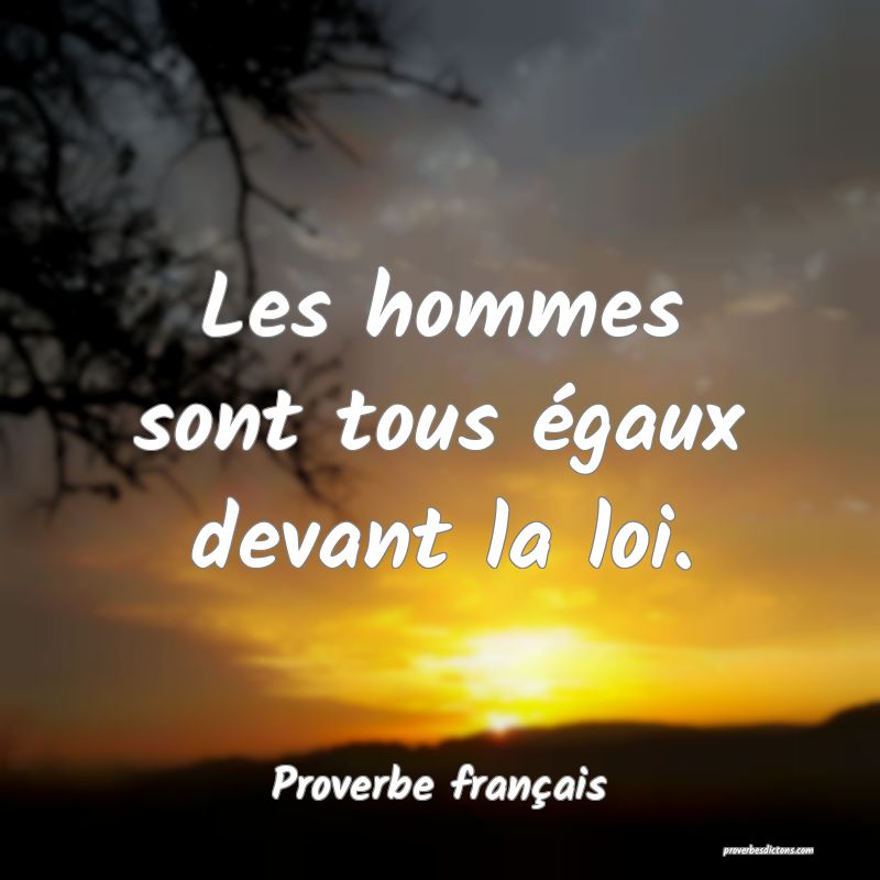 Les hommes sont tous égaux devant la loi.