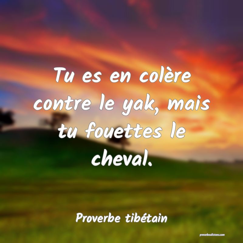 Tu es en colère contre le yak, mais tu fouettes le cheval.