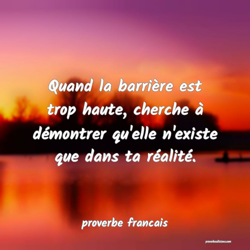  Quand la barrière est trop haute, cherche à démontrer qu'elle n'existe que dans ta réalité.