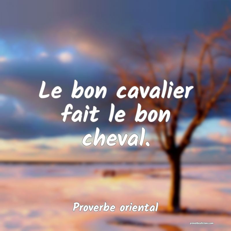 Le bon cavalier fait le bon cheval.