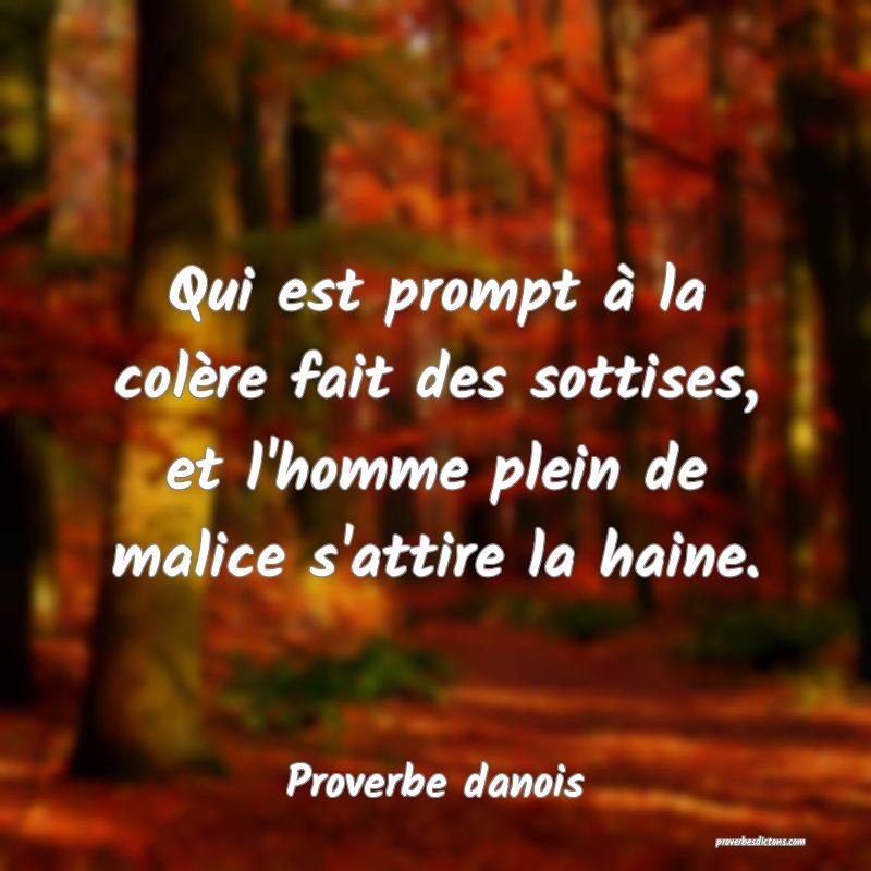 Qui est prompt à la colère fait des sottises, et l'homme plein de malice s'attire la haine.