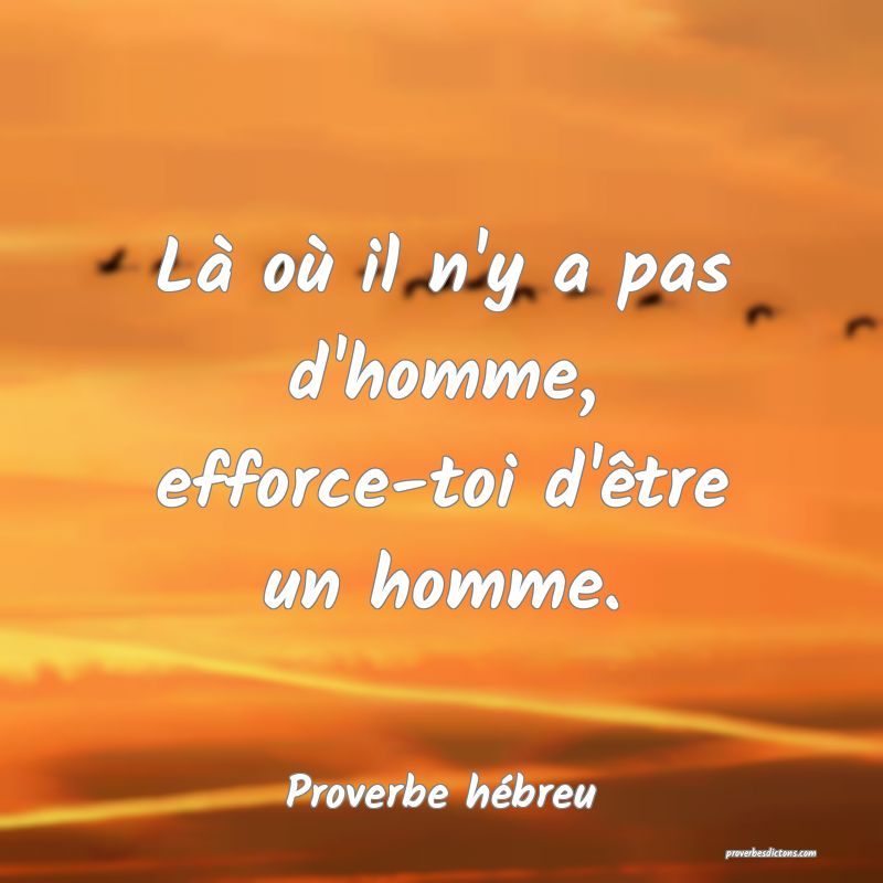 Là où il n'y a pas d'homme, efforce-toi d'être un homme.