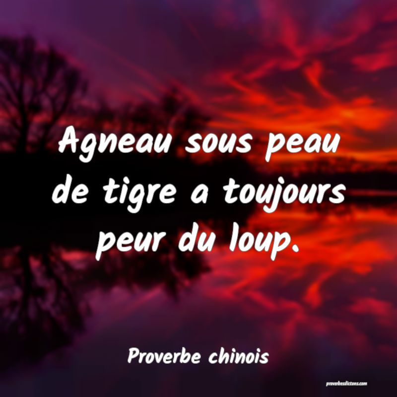 Agneau sous peau de tigre a toujours peur du loup.