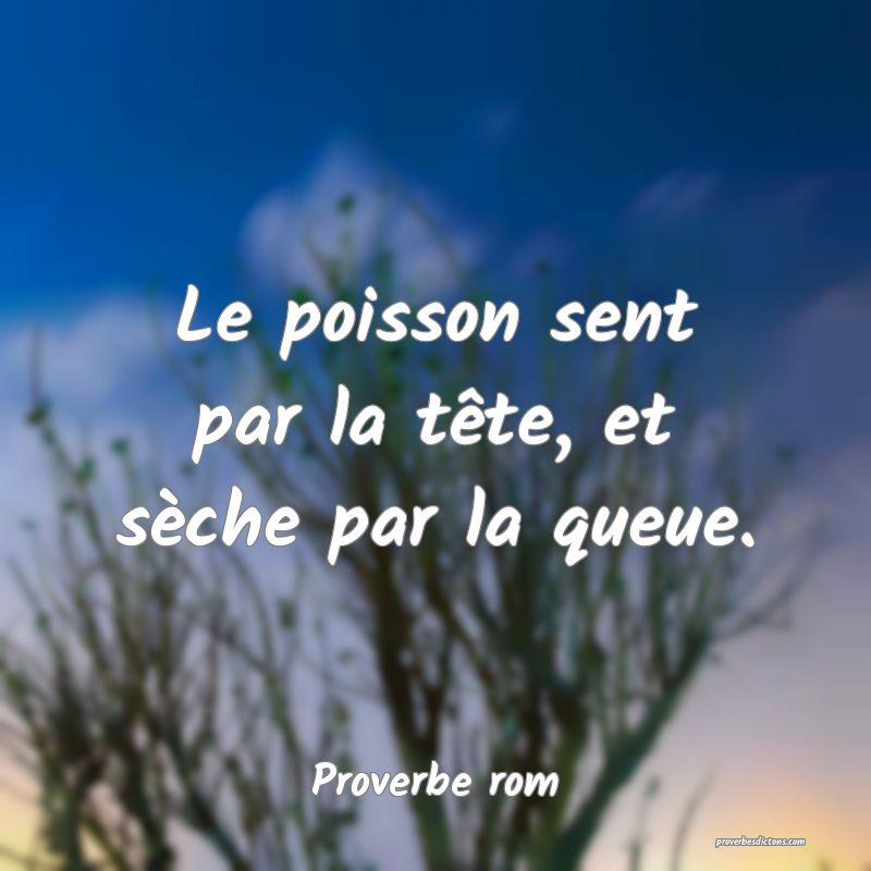 Le poisson sent par la tête, et sèche par la queue.