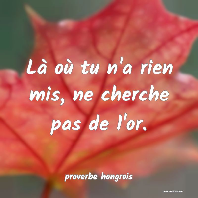  Là où tu n'a rien mis, ne cherche pas de l'or.