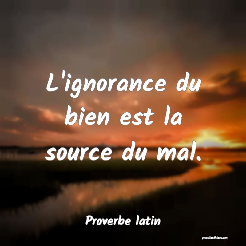 L'ignorance du bien est la source du mal.