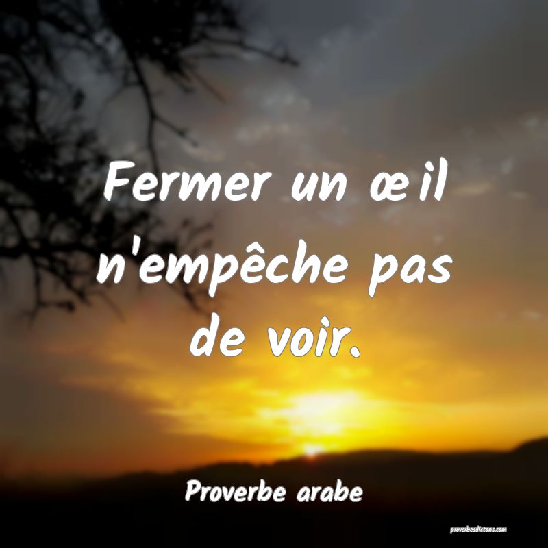 Fermer un œil n'empêche pas de voir.