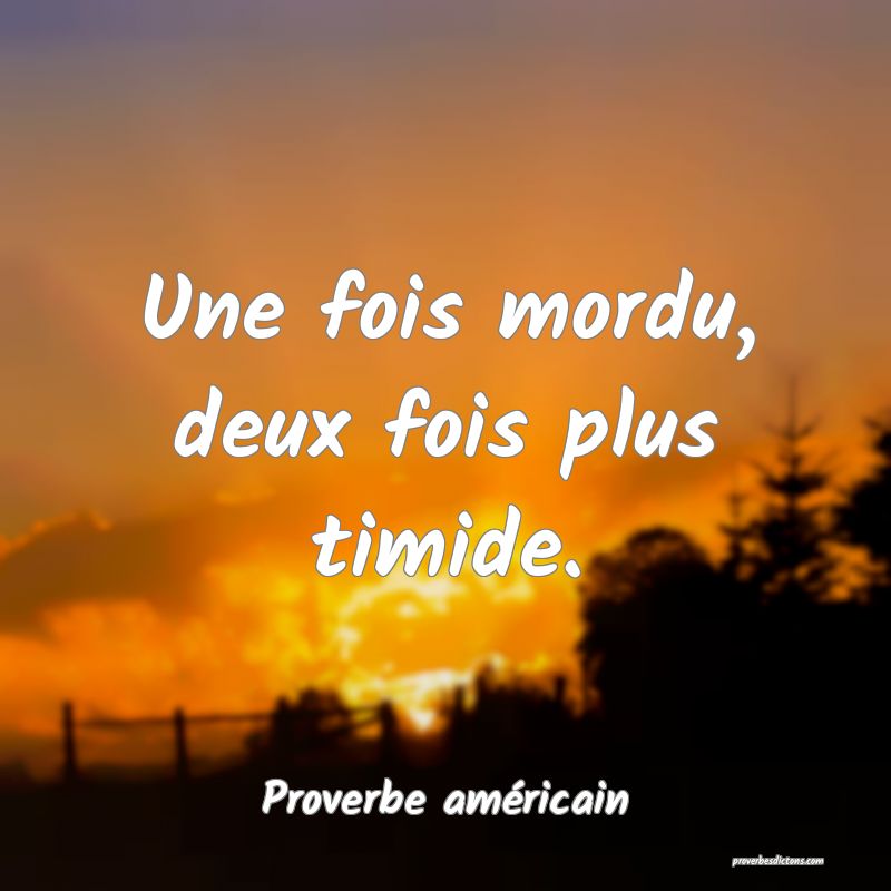 Une fois mordu, deux fois plus timide.