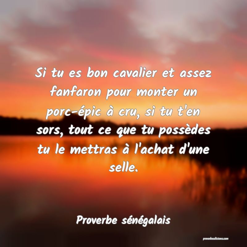  Si tu es bon cavalier et assez fanfaron pour monter un porc-épic à cru, si tu t'en sors, tout ce que tu possèdes tu le mettras à l'achat d'une selle. 
