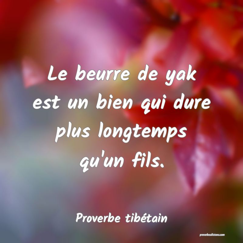 Le beurre de yak est un bien qui dure plus longtemps qu'un fils.