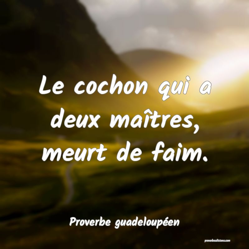 Le cochon qui a deux maîtres, meurt de faim.