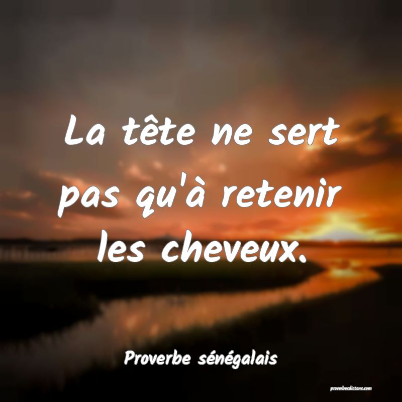  La tête ne sert pas qu'à retenir les cheveux.