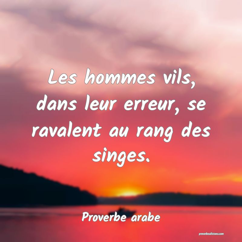 Les hommes vils, dans leur erreur, se ravalent au rang des singes.