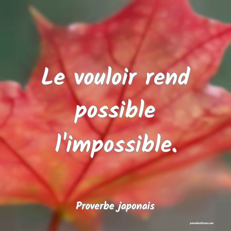 Le vouloir rend possible l'impossible.
