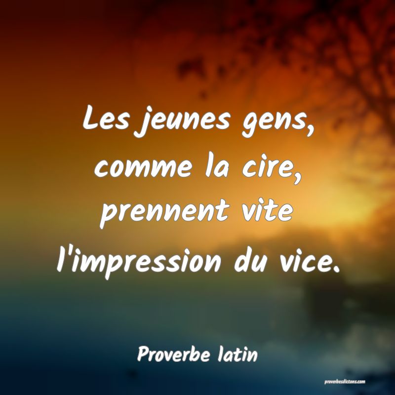Les jeunes gens, comme la cire, prennent vite l'impression du vice.