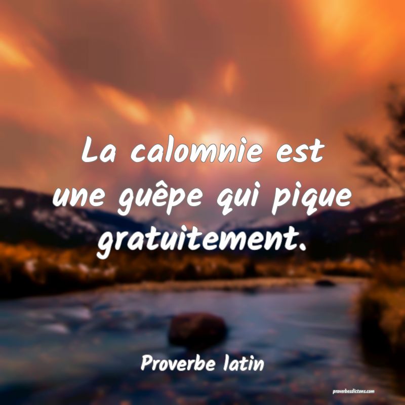La calomnie est une guêpe qui pique gratuitement.