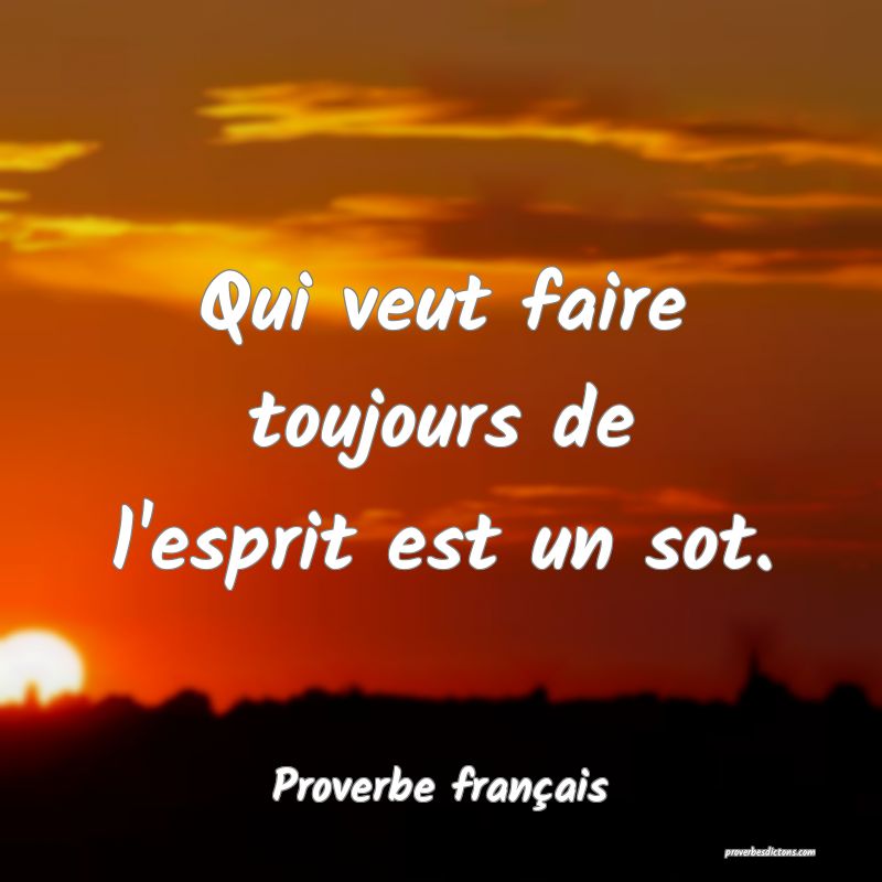 Qui veut faire toujours de l'esprit est un sot.