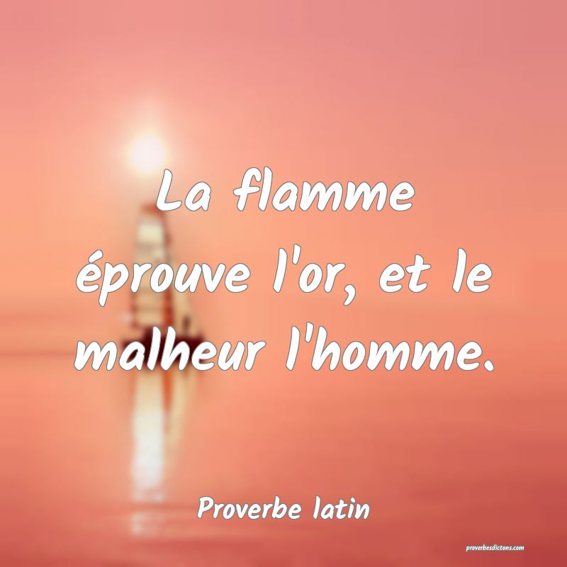 La flamme éprouve l'or, et le malheur l'homme.