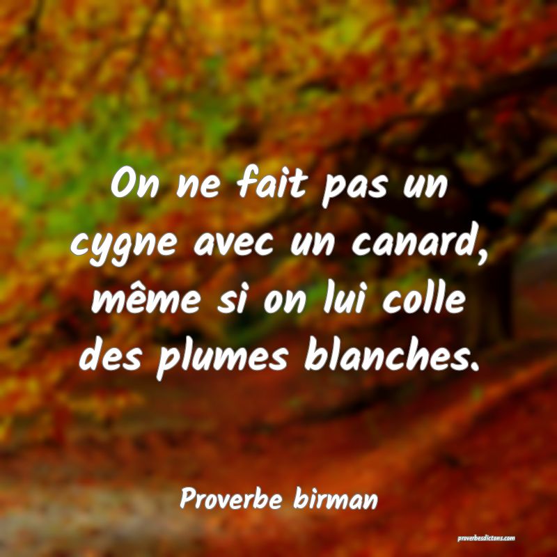 On ne fait pas un cygne avec un canard, même si on lui colle des plumes blanches.
