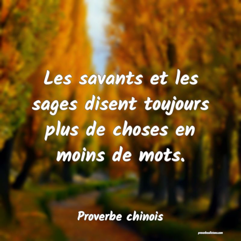 Les savants et les sages disent toujours plus de choses en moins de mots.