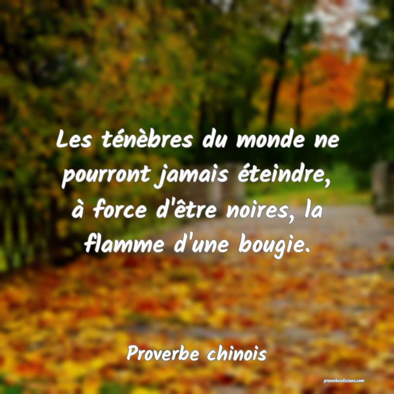 Les ténèbres du monde ne pourront jamais éteindre, à force d'être noires, la flamme d'une bougie.