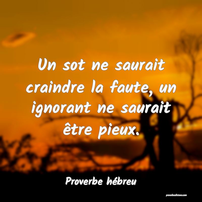 Un sot ne saurait craindre la faute, un ignorant ne saurait être pieux.