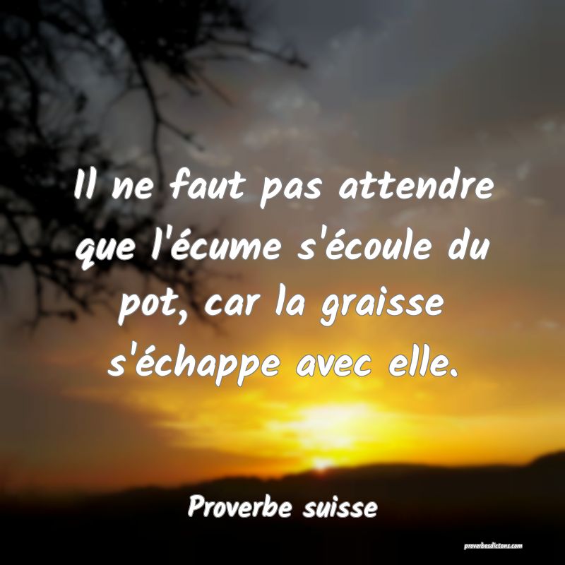 Il ne faut pas attendre que l'écume s'écoule du pot, car la graisse s'échappe avec elle.