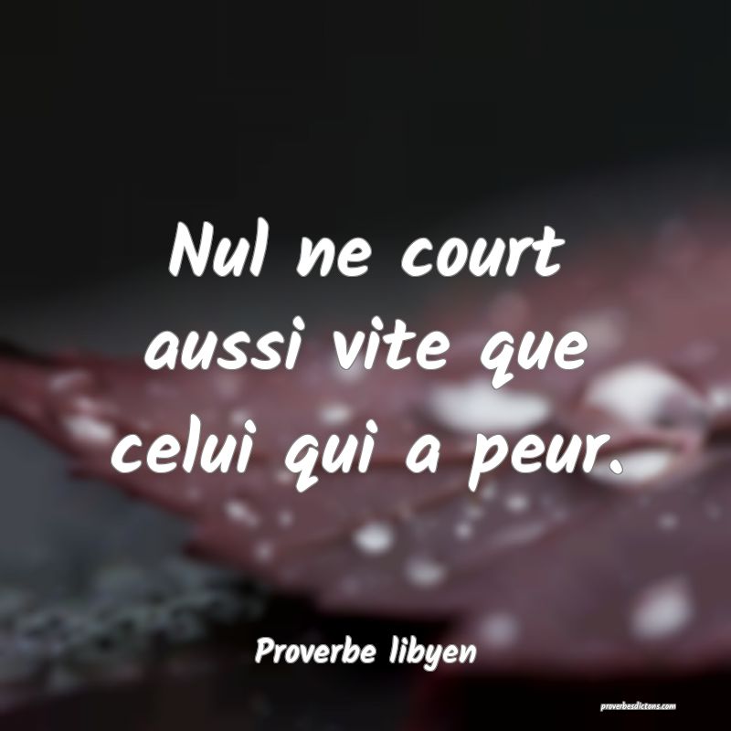 Nul ne court aussi vite que celui qui a peur.