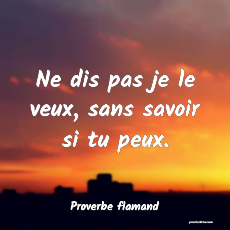 Ne dis pas je le veux, sans savoir si tu peux.