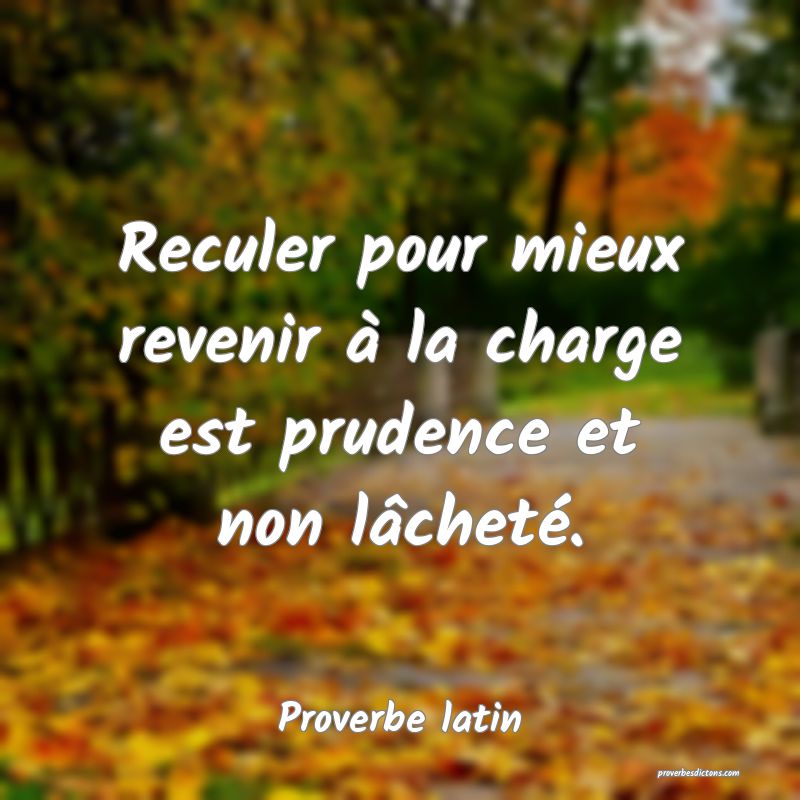 Reculer pour mieux revenir à la charge est prudence et non lâcheté.