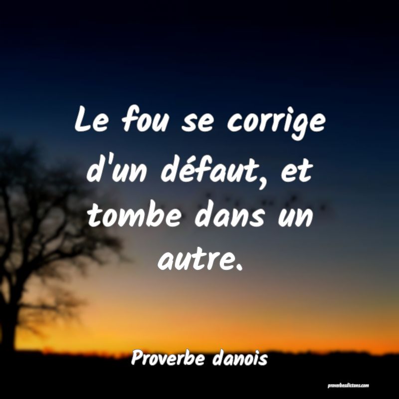 Le fou se corrige d'un défaut, et tombe dans un autre.