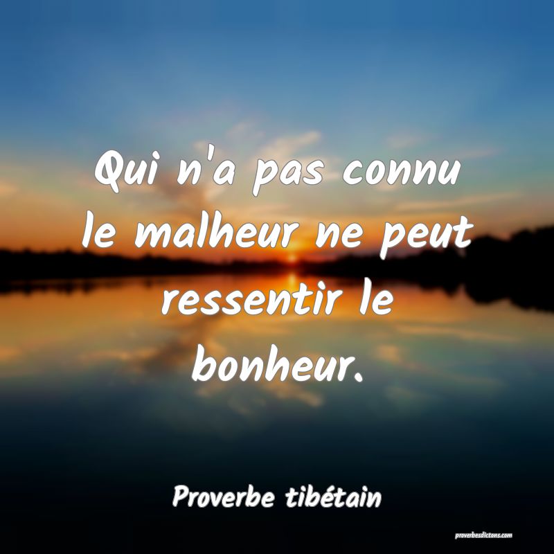 Qui n'a pas connu le malheur ne peut ressentir le bonheur.