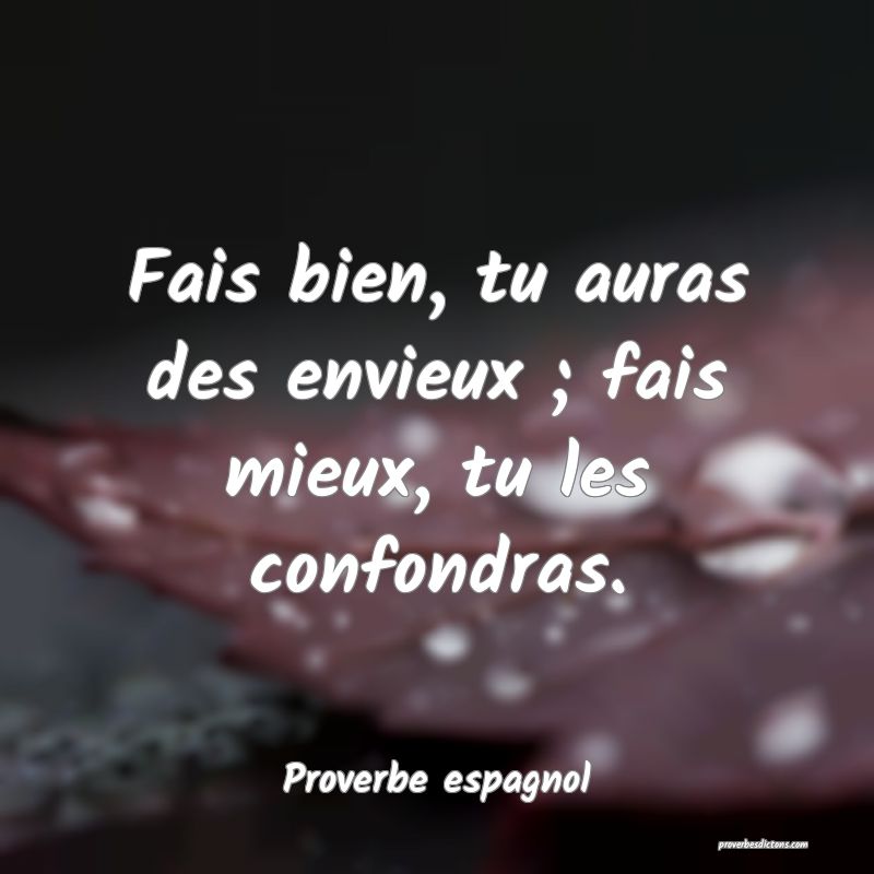 Fais bien, tu auras des envieux ; fais mieux, tu les confondras.