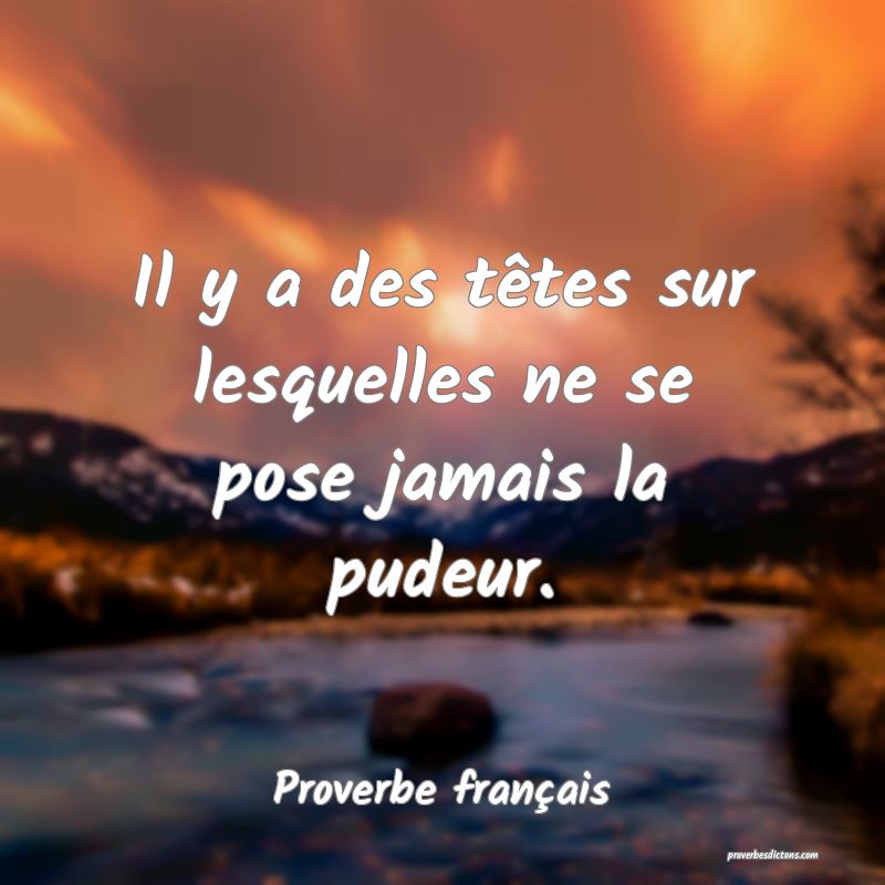 Il y a des têtes sur lesquelles ne se pose jamais la pudeur.