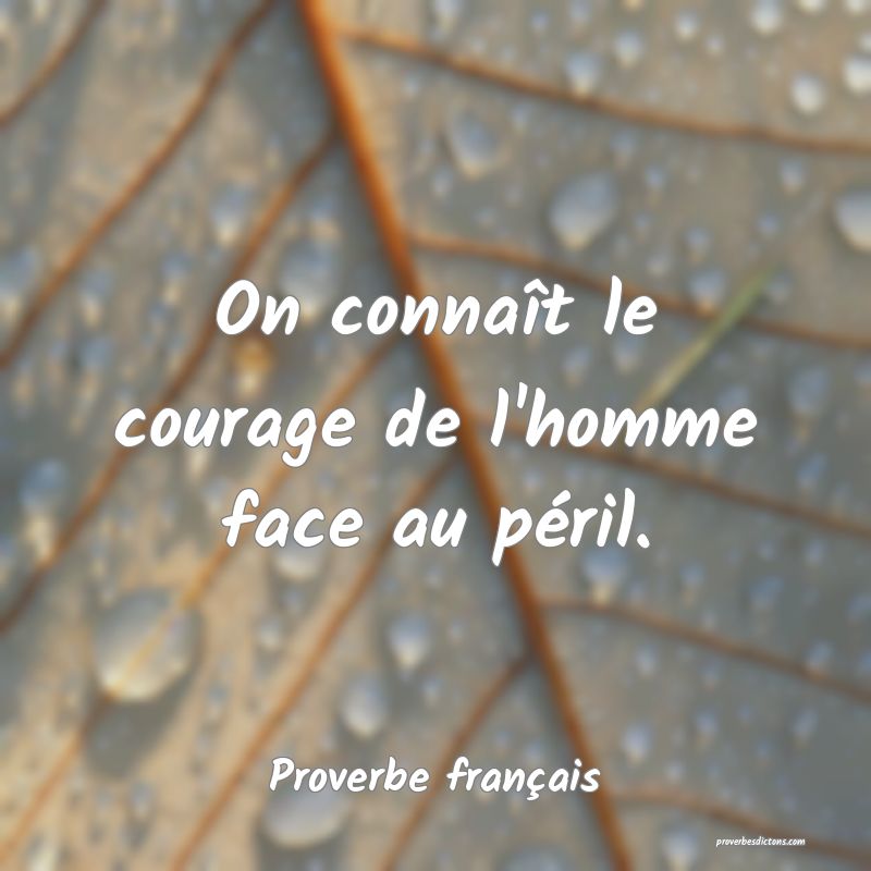 On connaît le courage de l'homme face au péril.