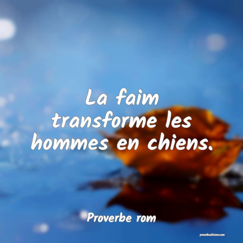La faim transforme les hommes en chiens.