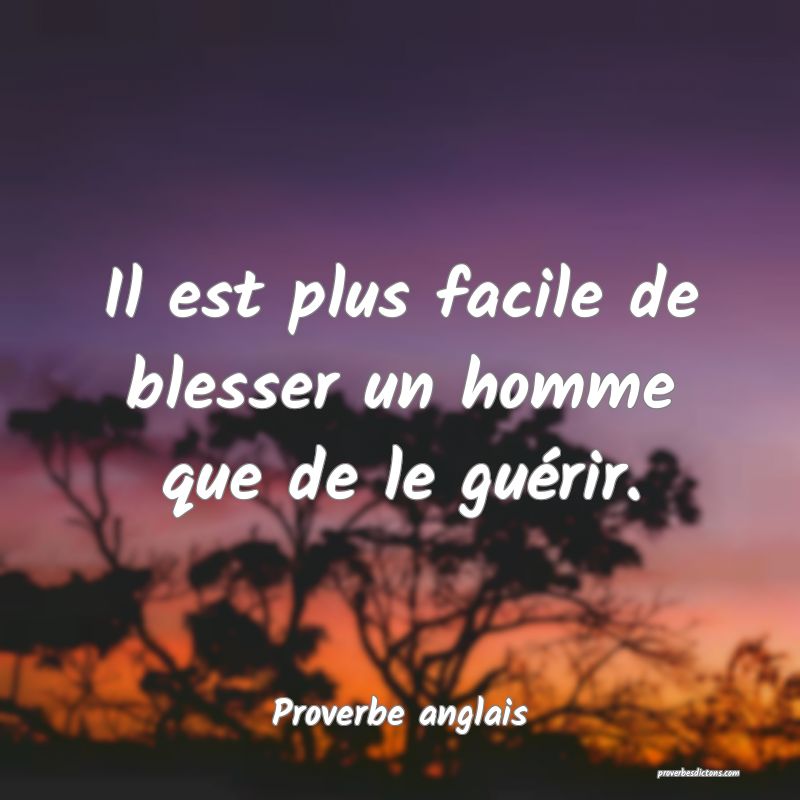 Il est plus facile de blesser un homme que de le guérir.